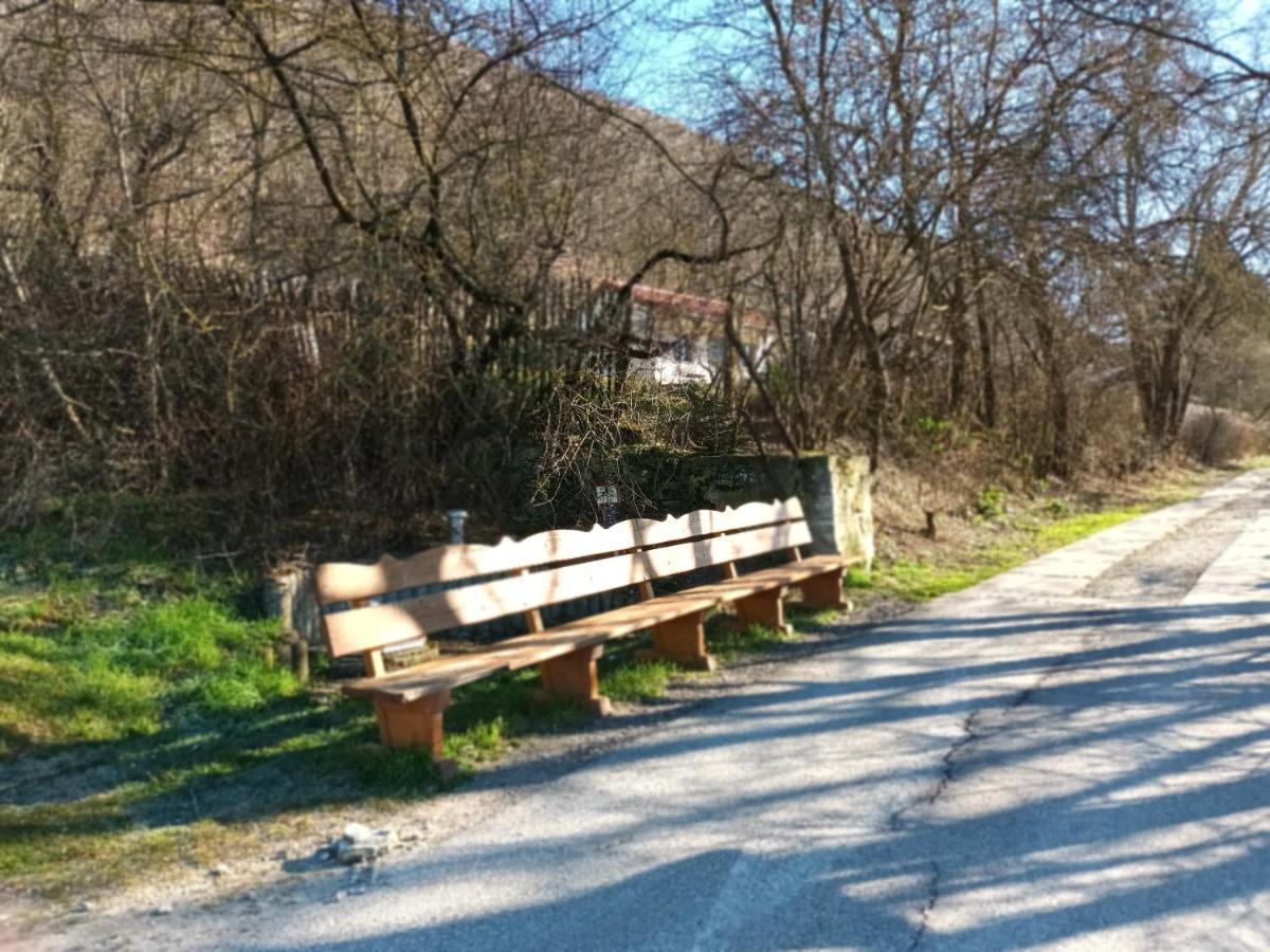 Ferienwohnung Naumburgliebe Naumburg  Buitenkant foto